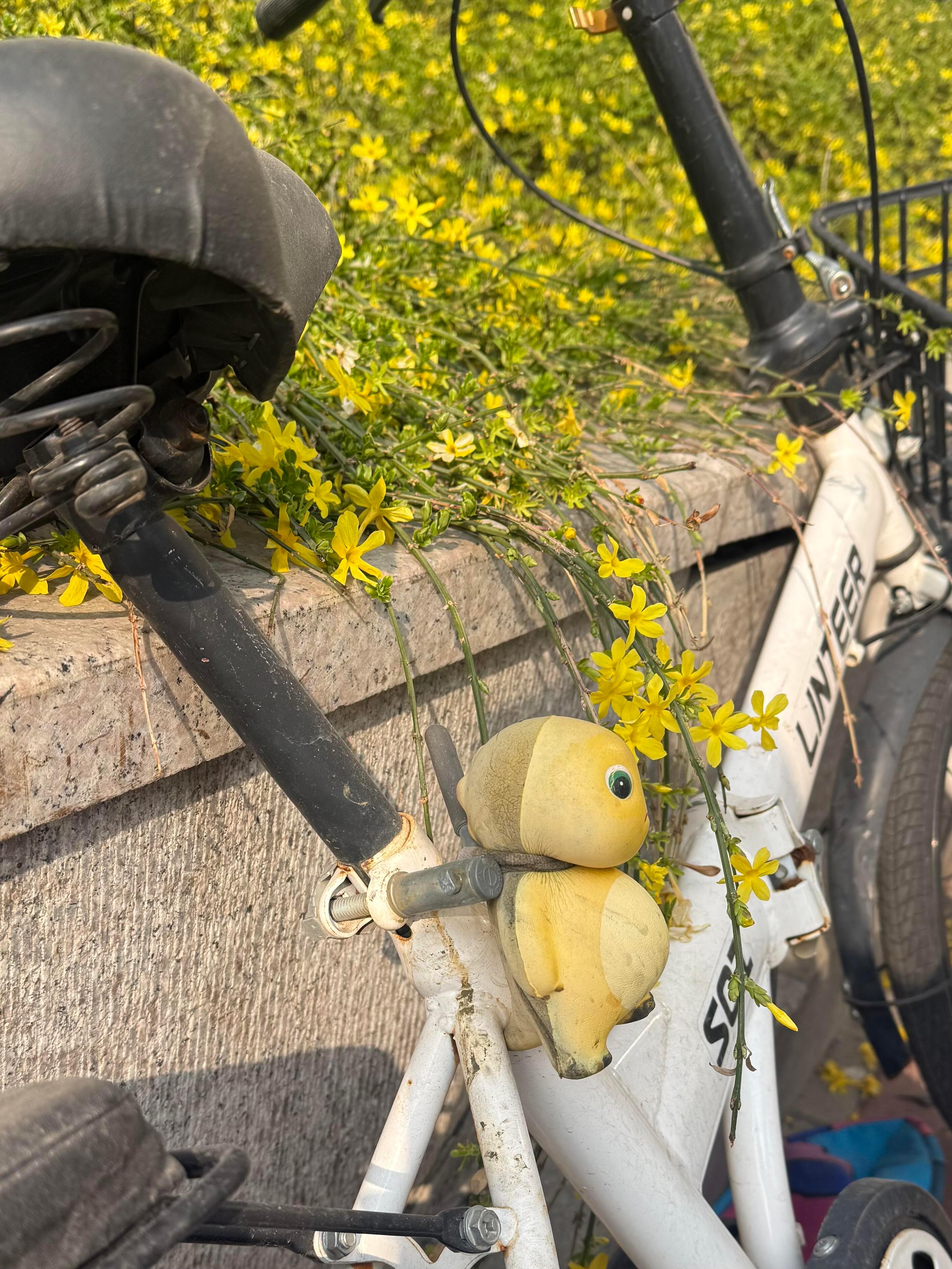 生活就这样对待奶龙