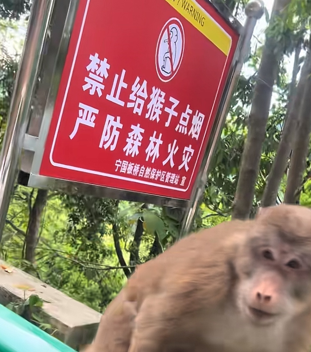 这种事也就男的能干出来