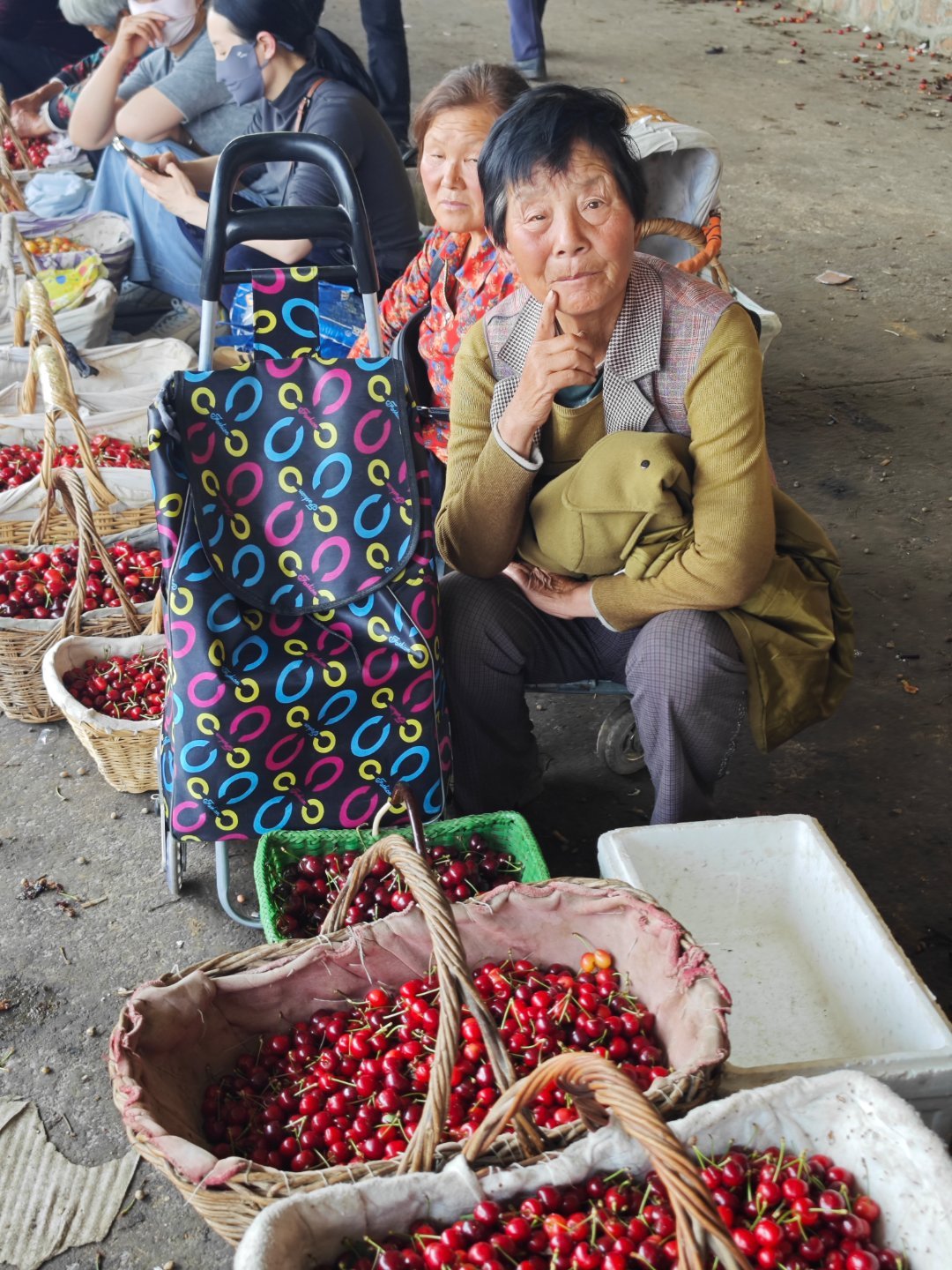 故乡，那些出售山地里自家种植的大樱桃🍒的果农们烟台·张格庄大樱桃市场