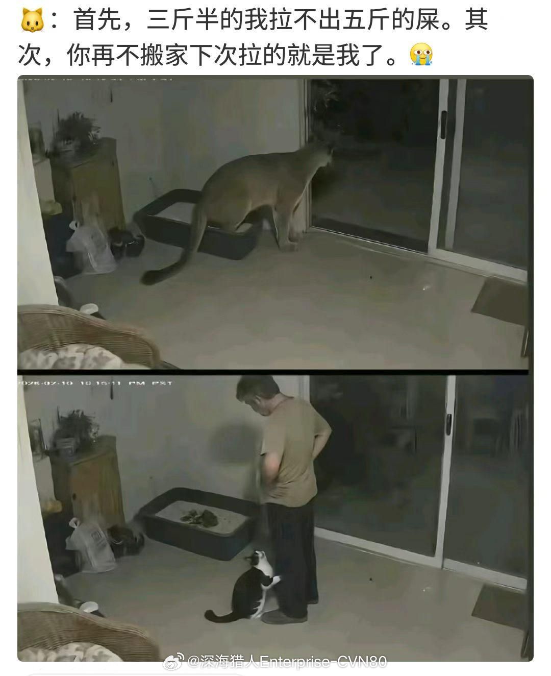 确实​​​