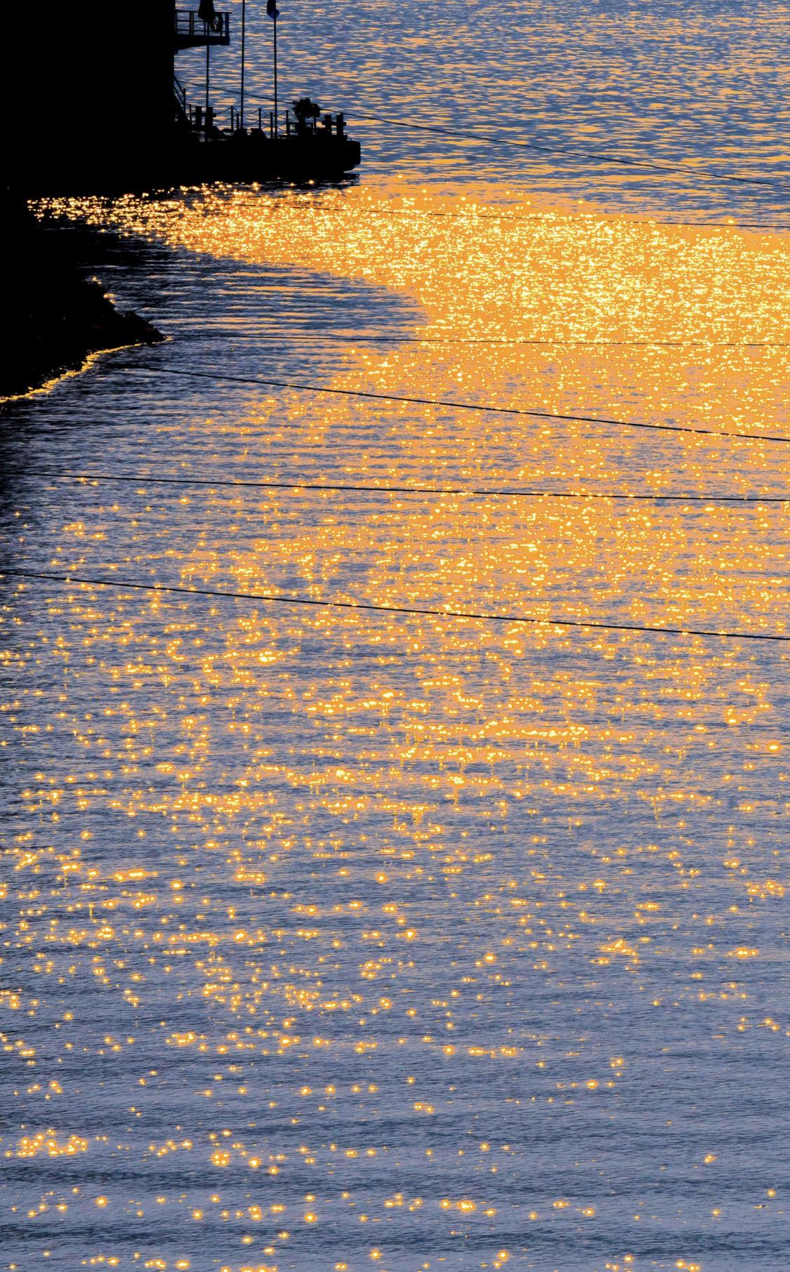 人一定要大量读书！我发现长期读书的人都有一个共性：他们身上总有种不慌不忙