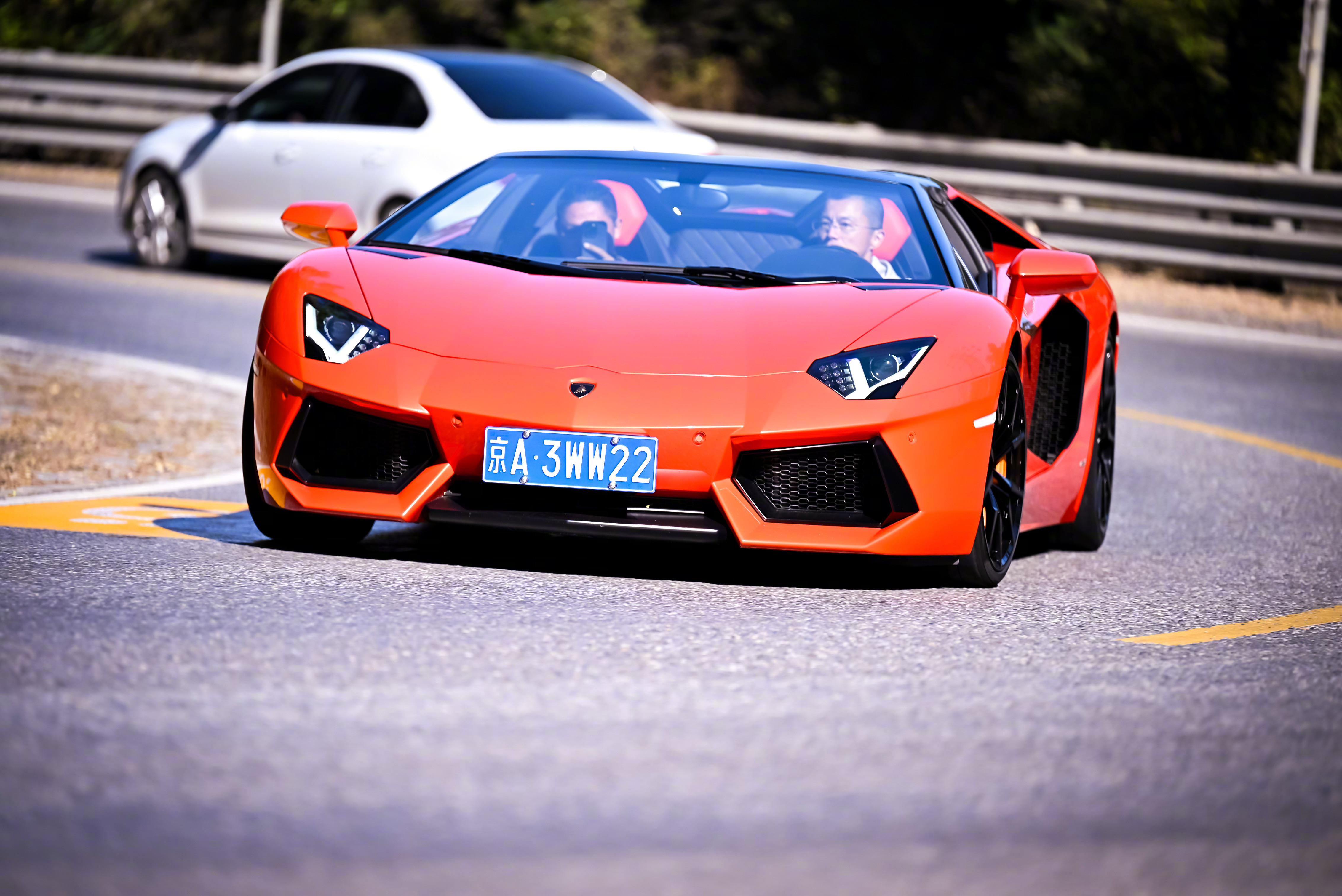 阳光明媚，适合放牛～