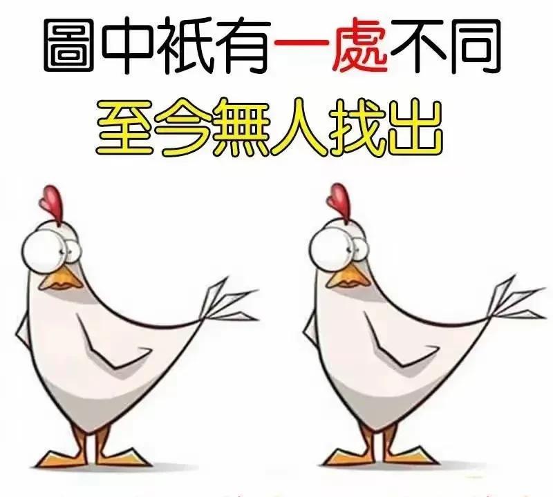 我是一个很细心的人，可是我看了三四遍，还是没找到不同之处！[捂脸哭]