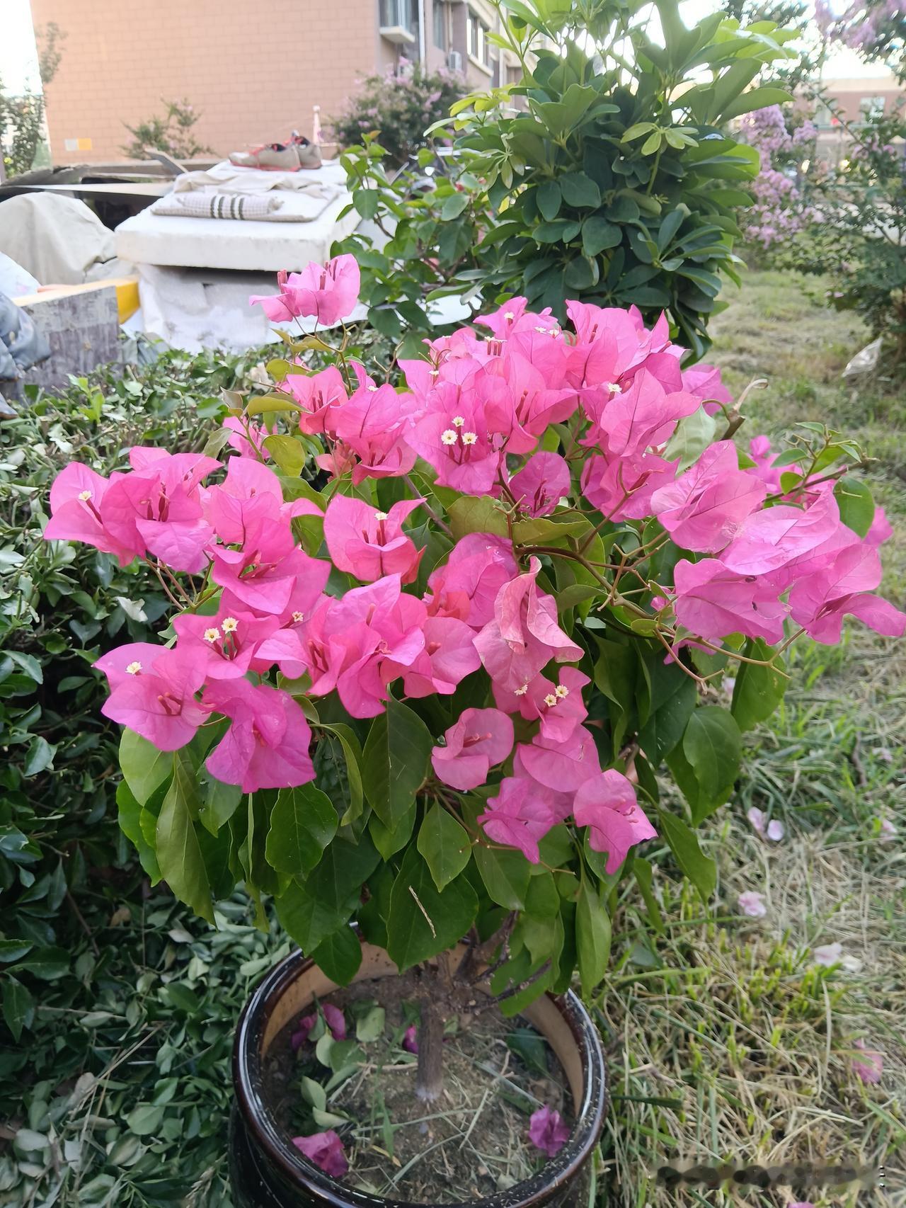 玄学忠告1．不管住哪，要说房子好。2、不管吃啥，要说饭菜香。不挑不怨，