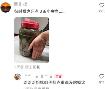 彼时我家只有3条小金鱼