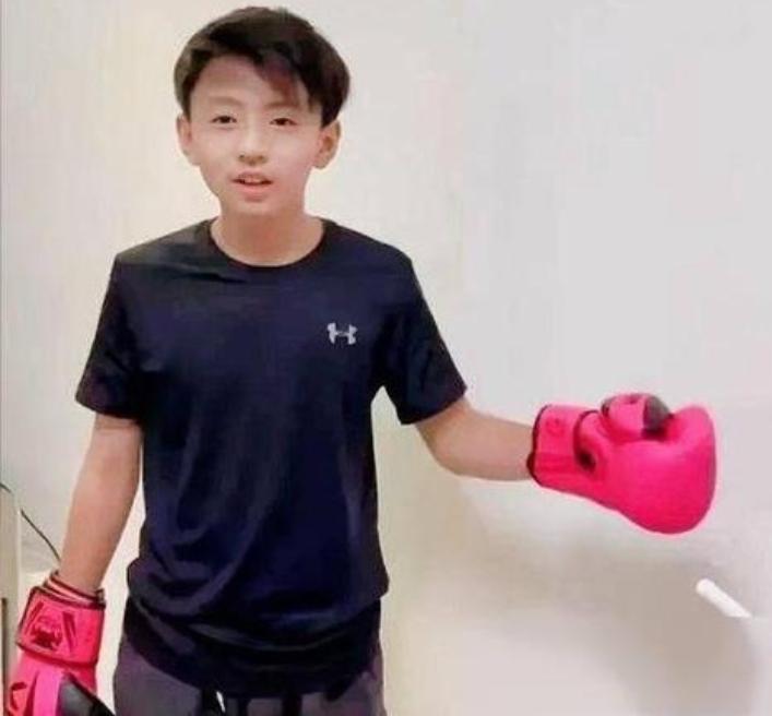 要说谢霆锋二儿子谢振南更像谁，我觉得他眉眼之间和谢霆锋有几分神似。谢霆锋那深邃的