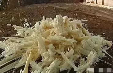 印度每年榨糖剩下7500万吨甘蔗渣，面对这堆“没人要”的烂渣子，中印两国走出了完