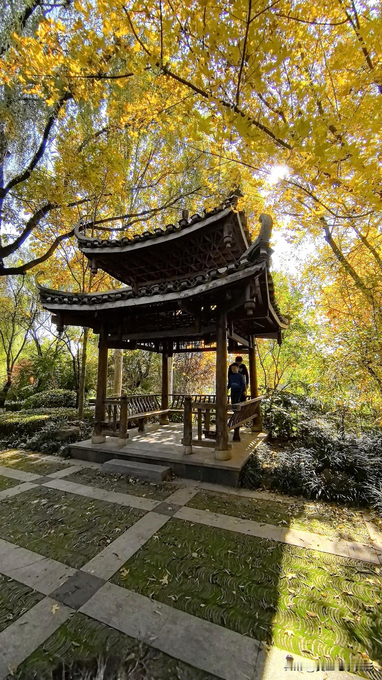 🍂郑州中国绿博园的秋天真的太绝了！满园秋色像打翻的调色盘，大地都变成了一幅锦绣