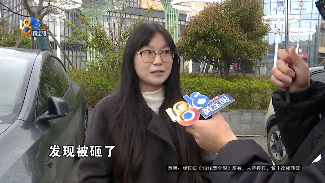 “太无赖了！”浙江宁波，一女子的特斯拉停在商场被道闸狠狠砸中，维修费高达1000
