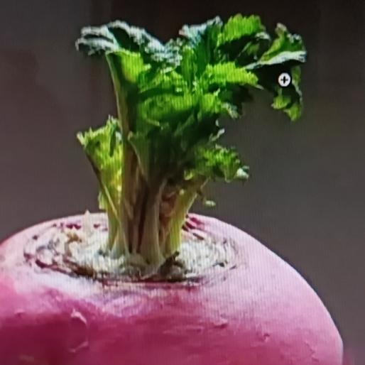 冬天到了，又到了“囤菜季”！有些菜趁便宜多屯点，晒干后能随吃随取。像土豆，现在8