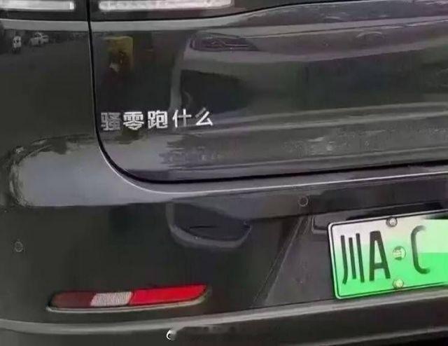 这个零跑车主有点意思，还是川A