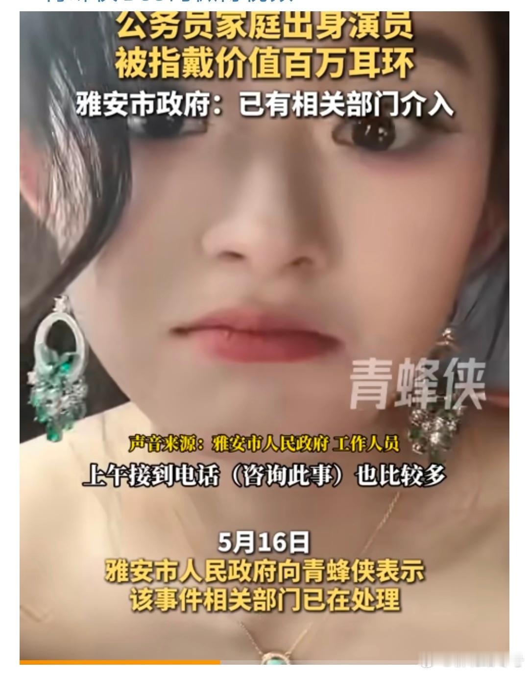 雅安有关部门介入调查高价耳环事件【公务员家庭出身演员被指戴百万耳环雅安市政府