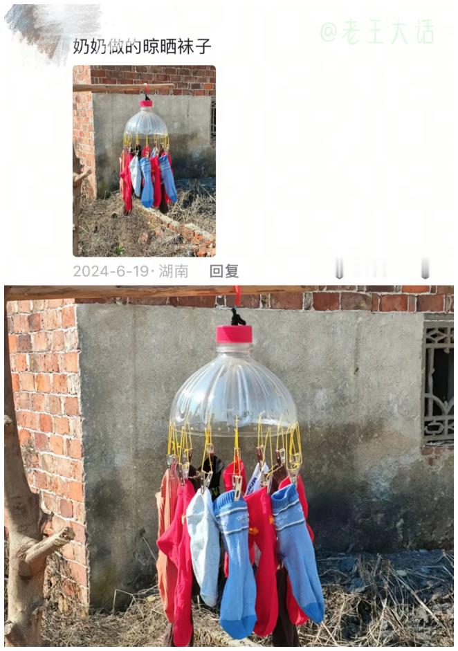 老一辈才才是真的懂得物尽其用的，那个鞋子种多肉过分了啊