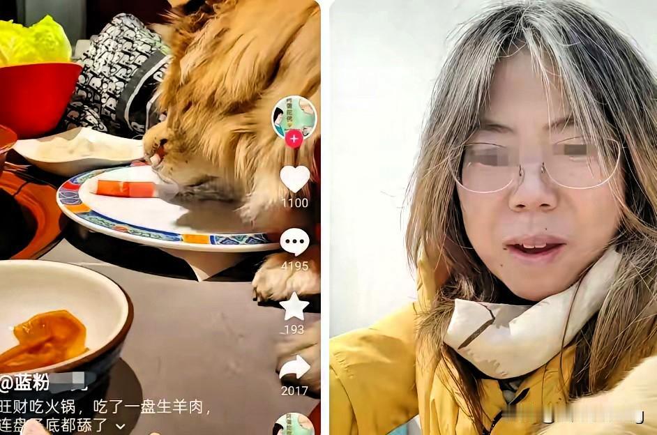 以为删了视频就能万事大吉？北京这位“爱狗名媛”怕是没料到，自己让狗舔公共餐盘的操