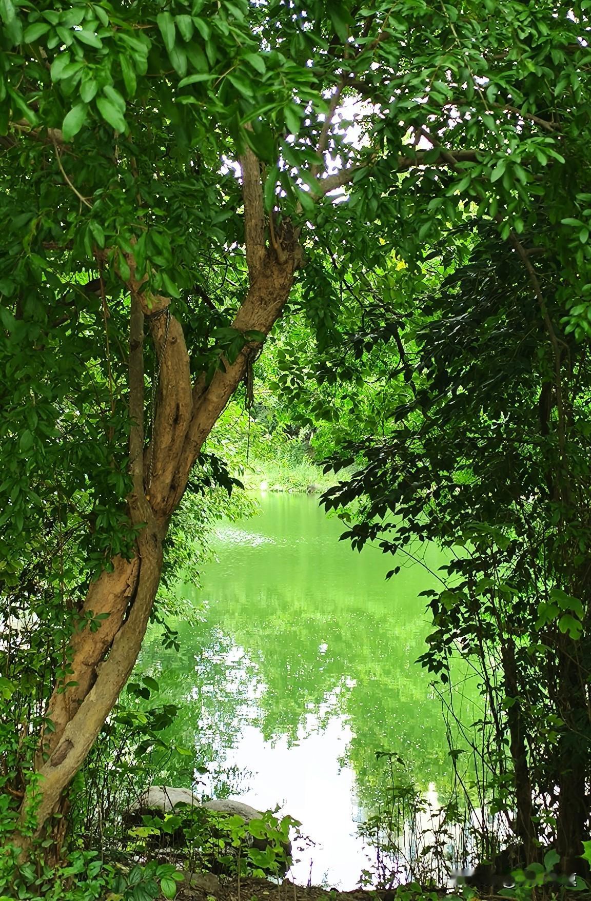 南京这波持续性酷暑直接退场，秋天脚步比往年快了不止一点，超长待机的夏天高温居然比