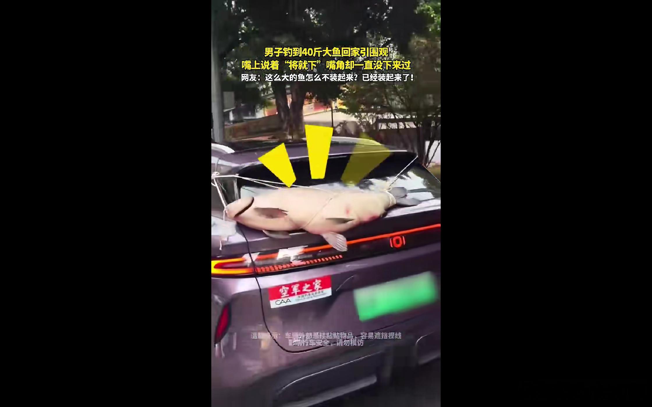 一辆车尾挂着大鱼的启源Q06缓缓驶过，四十多斤的青鱼尤其醒目，有意思的是，旁边“空军之家”的车贴和大