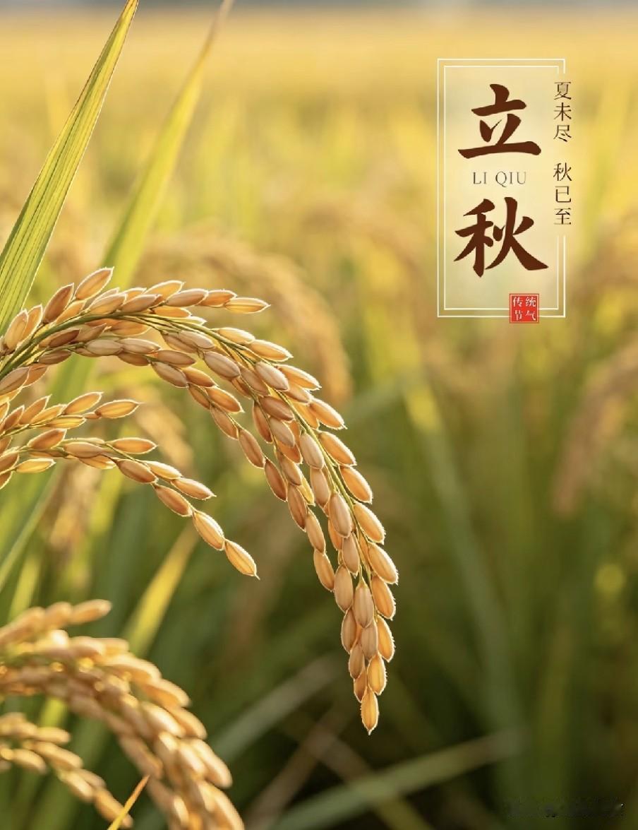 8月7号立秋，3个生肖要“躲秋”，3事不做，2物不吃，不忘老传统2026年