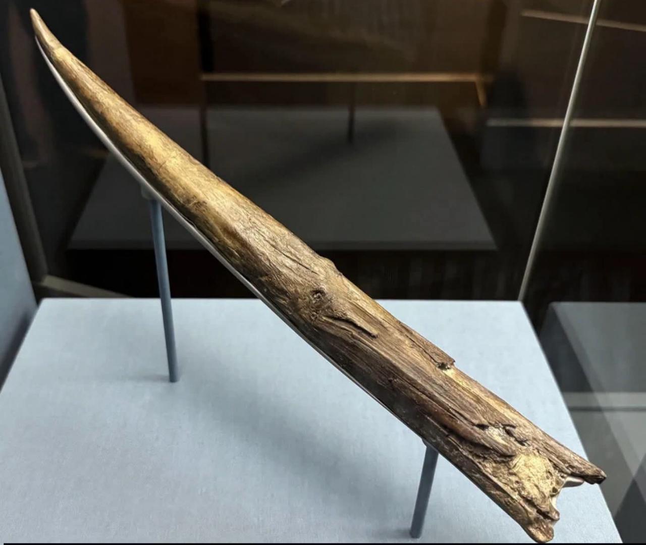 克拉克顿矛，一根距今约40万至42万年的古老木制矛尖……1911年，在英国埃塞克