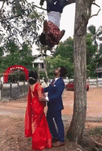 爆笑GIF: 妹子, 没事逗猪干嘛呢?