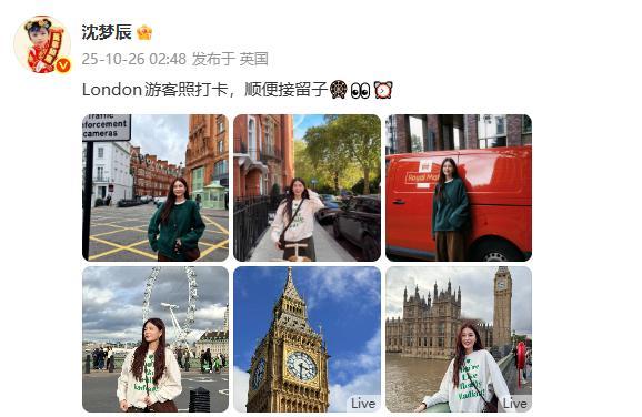 沈梦辰晒伦敦游客照沈梦辰晒照：“London游客照打卡，顺便接留子🎡👀⏰