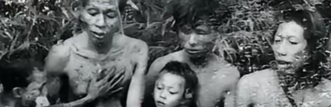 1950年代的故事继续：1950年，云南哀牢山最深处，三位年轻边防战士杨克彬、郑