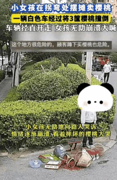 小女孩守着几筐樱桃在小区门口盼顾客，一辆白色SUV转弯时，竟将三筐樱桃撞翻，随后