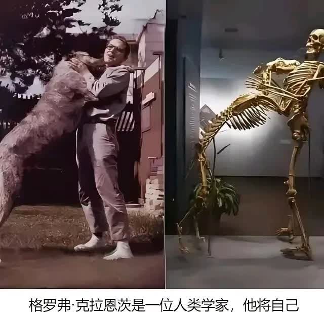 不得不说，一个真敢想，一个就敢满足他！