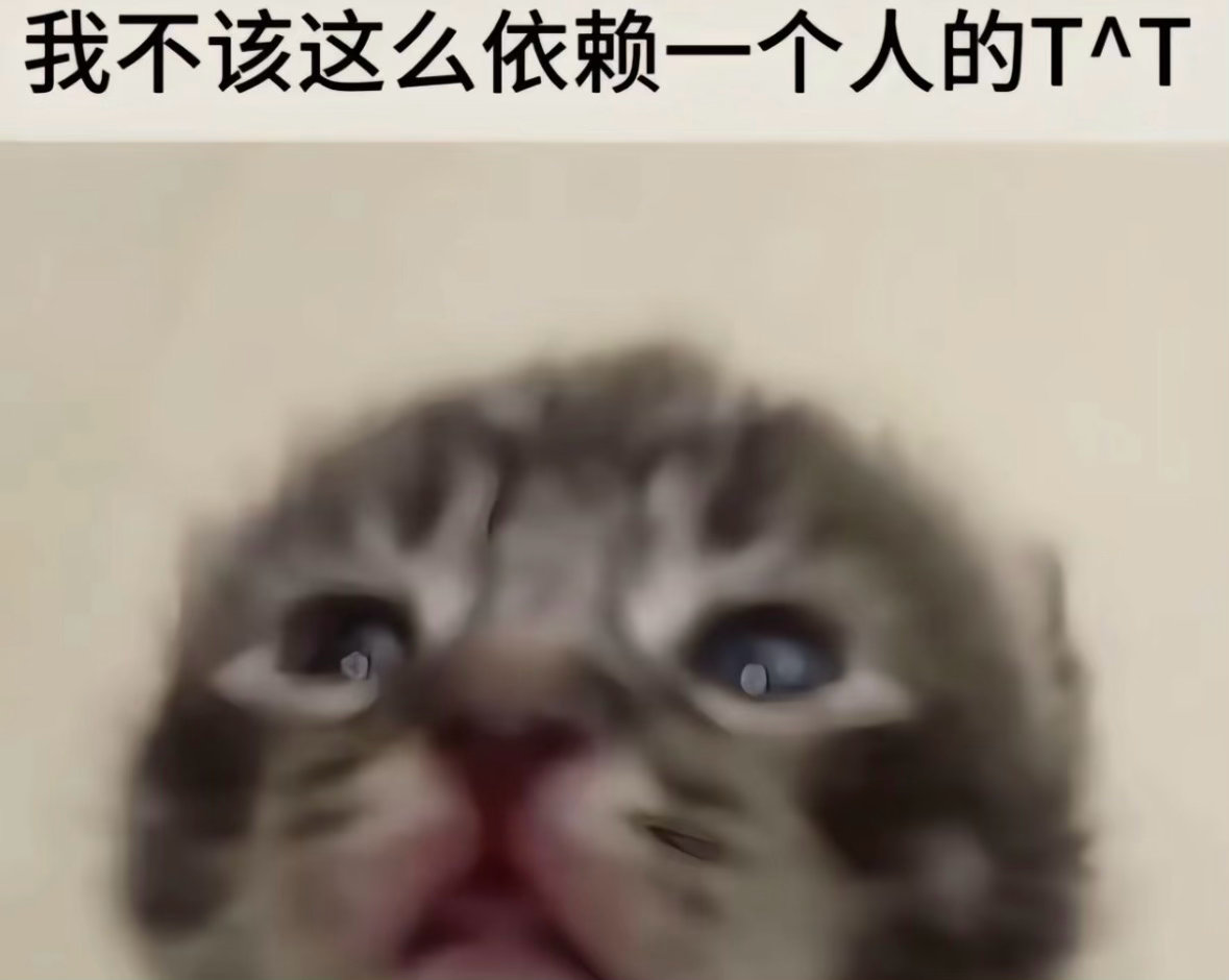 “爱是一碗夹生的米饭，大家边哭边咽”