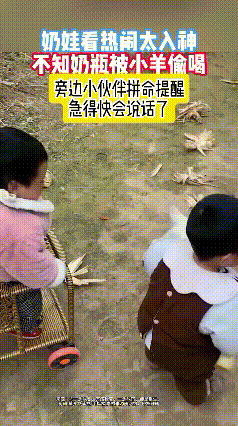 小美女一直在提醒她，快看你奶马上被羊宝宝喝完了，你快看啊，快看啊，可把小美女急毁