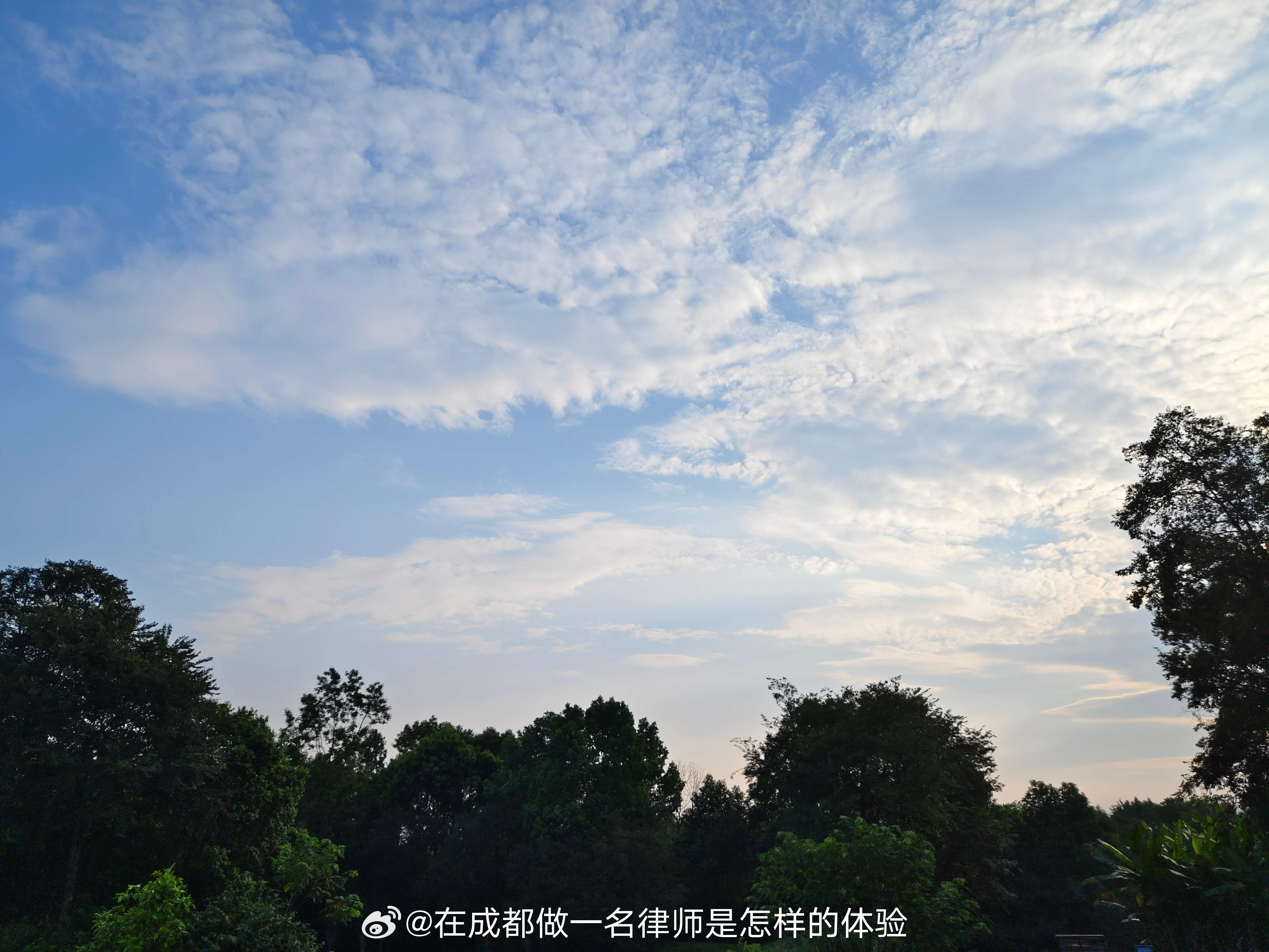 刚刚有个客户打电话过来询问社保问题，大体上就是其作为用人单位，没有为其招用的劳动者足额购买社保，如果