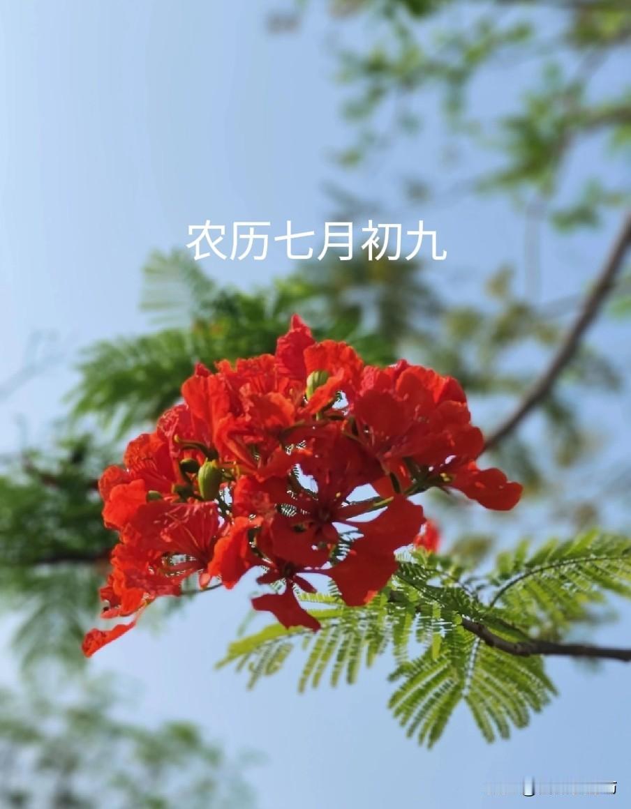 不是迷信！明日七月初九是“凶日”，白天5禁忌，晚上4注意民间常将农历七月初