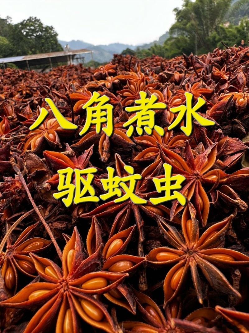 夏天到了是不是经常被蚊子困扰?👍妙方实用又天然，八角自带挥发性芳香物质蚊虫不
