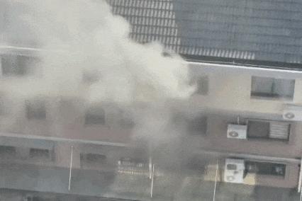 “占小便宜吃大亏！”浙江嘉兴，女子正在家里做午饭，突然听到外面能领免费鸡蛋，匆匆