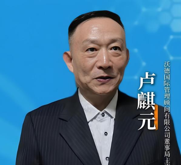经济学者卢麒元说：咱们这么多年对外输出的财富，和实际应该回流到国内的收益，中间有