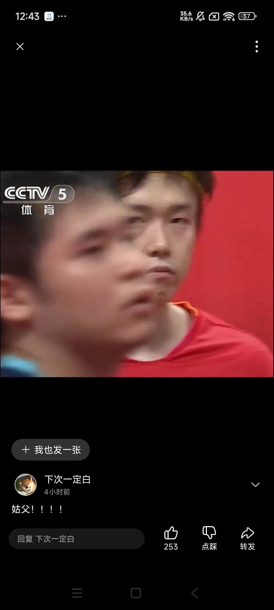 不如去意大利，组成乒乓轴心！