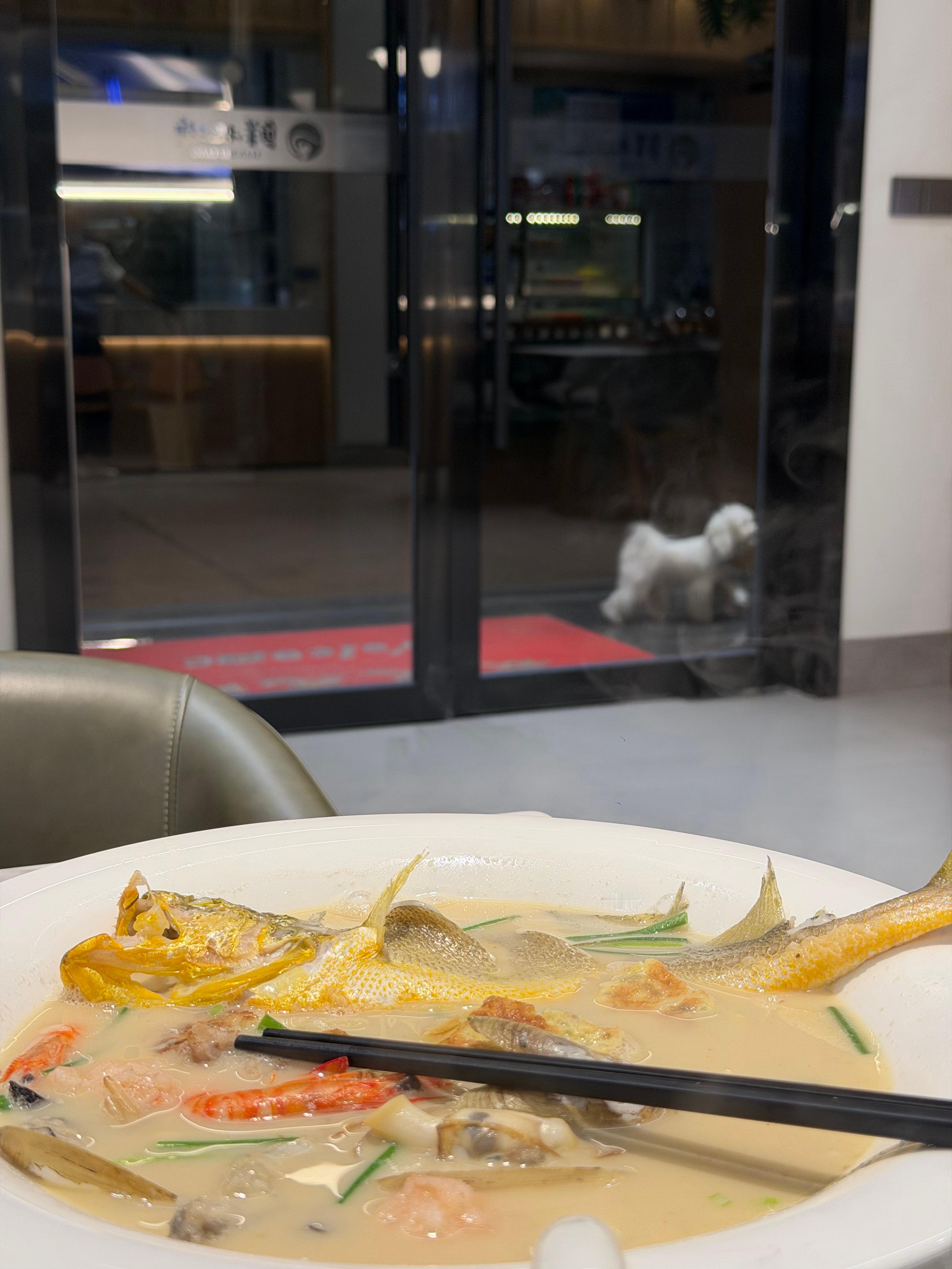 简简单单吃个面～（宠物不友好餐厅）​​​