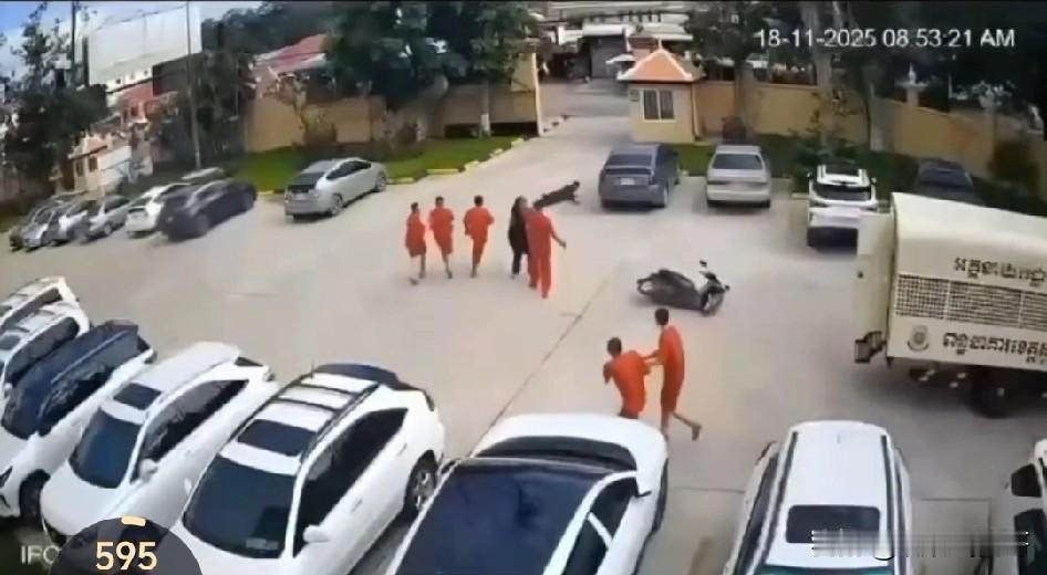 这种恋爱脑女子不应该宣扬，这种价值观扭曲恋爱脑女人要远离！不少网友在夸赞