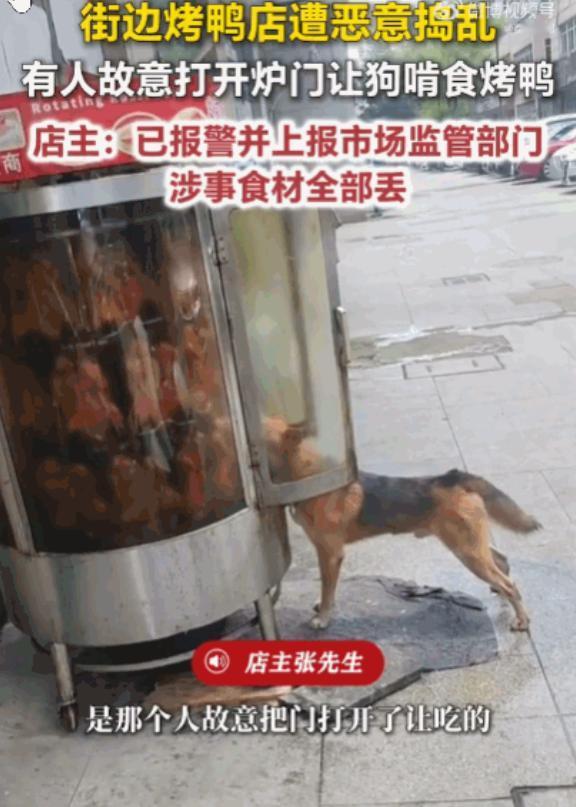 坏到骨子里了！浙江绍兴，一家店门口烤鸭炉里的烤鸭，竟遭到了恶狗的狂舔。店主调取监