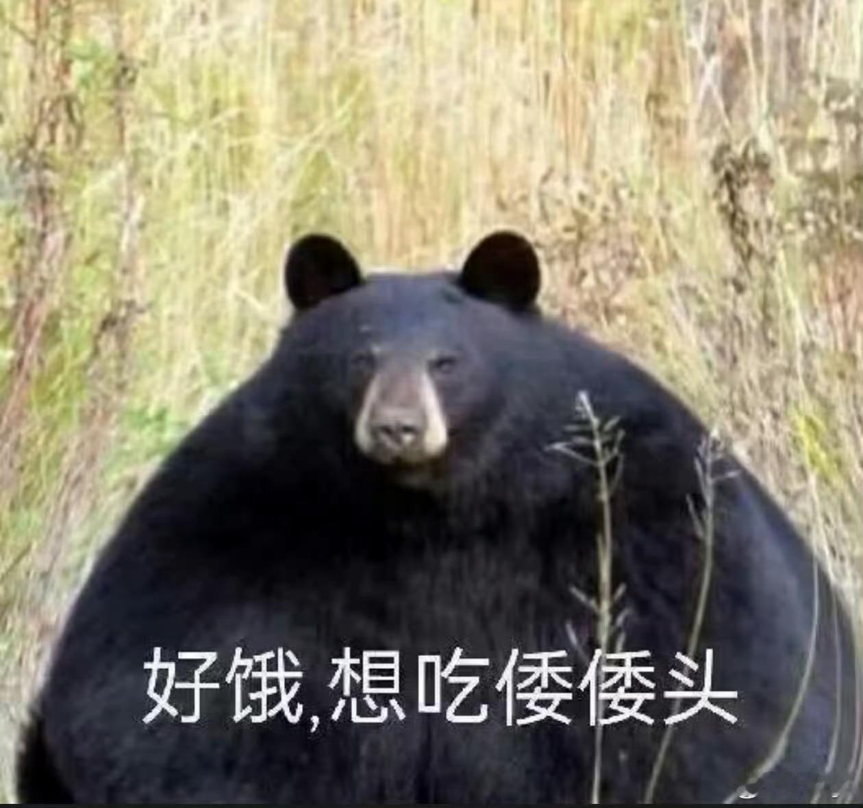 优衣库回应下架宝可梦定制T恤优衣库？你俩半斤八两，大哥也别笑话二哥