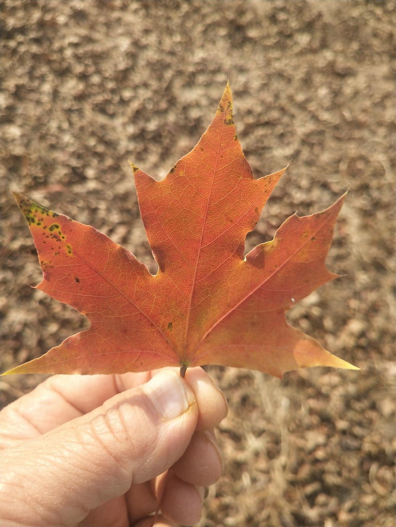 我的一个学生特别脆弱，每次考试完都要哭一场。每次总是说自己考的不好，这次考砸