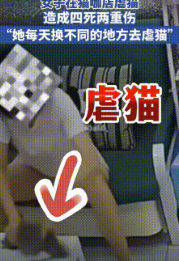 辽宁沈阳，女子进入猫咖包房后，竟将猫咪按压在椅子上狠狠暴打，还扯着猫咪的身体往反