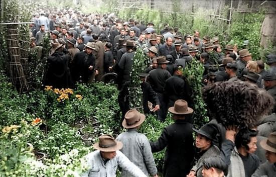 这是民国时期广州行花街，露天花田里攒着裹满市井热络的街坊，十有八九都扣着一顶挺括