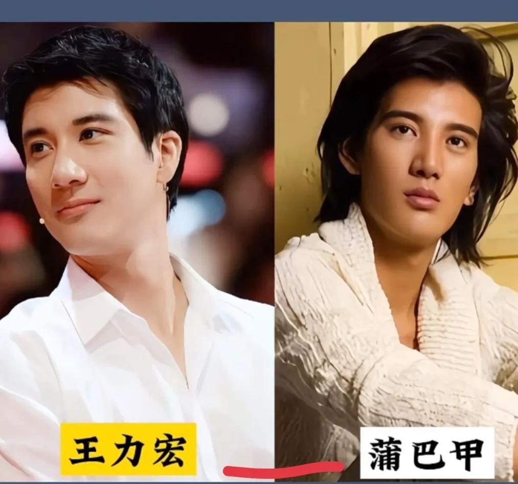王力宏和蒲巴甲——长得像那英和刘嘉玲——长得像宋轶和祝绪丹——长得像张国荣