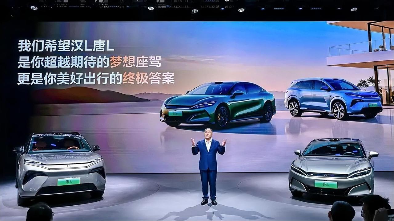 这么说吧比亚迪问题其实是中高端局没有打好，腾势扶不起来，仰望又过于高端不接地气，