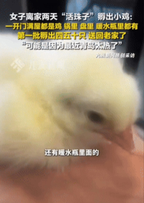 “太神奇了！”山东青岛，一女子有事出门两天没回家，谁知道回来后发现，客厅、厨房、