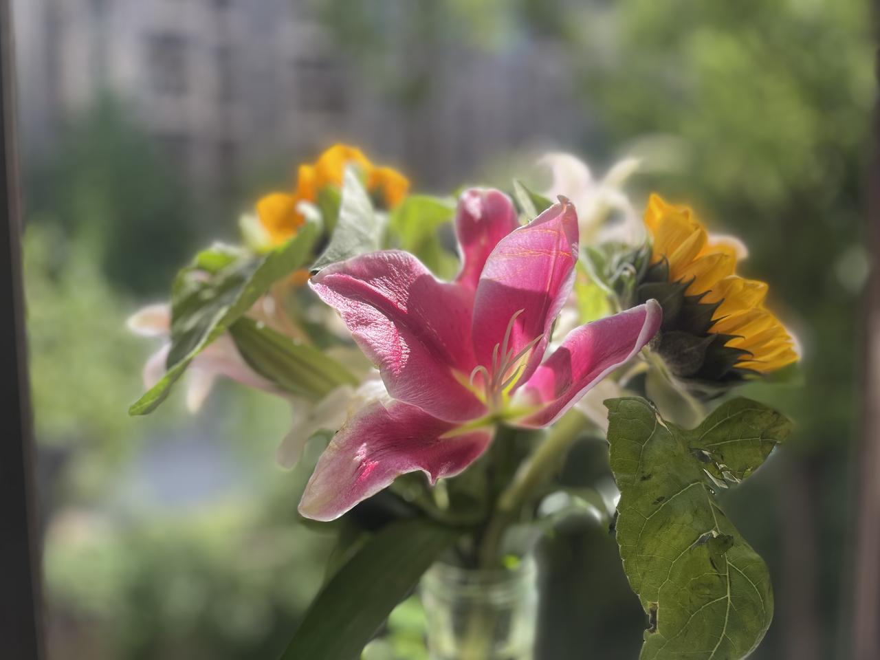 昨晚把给孩子买教育基金的事跟老公一说,空气瞬间就冻住了。“每年一万,交三年,