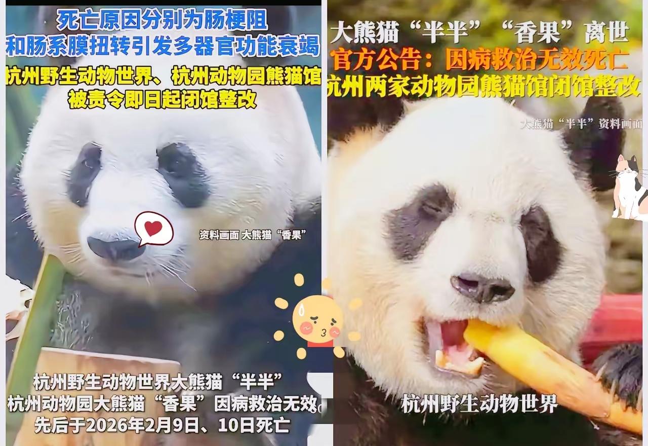 杭州最近火了，把一手好牌打得稀碎！坐拥西湖、大运河、良渚古城三大世界遗产，刚办