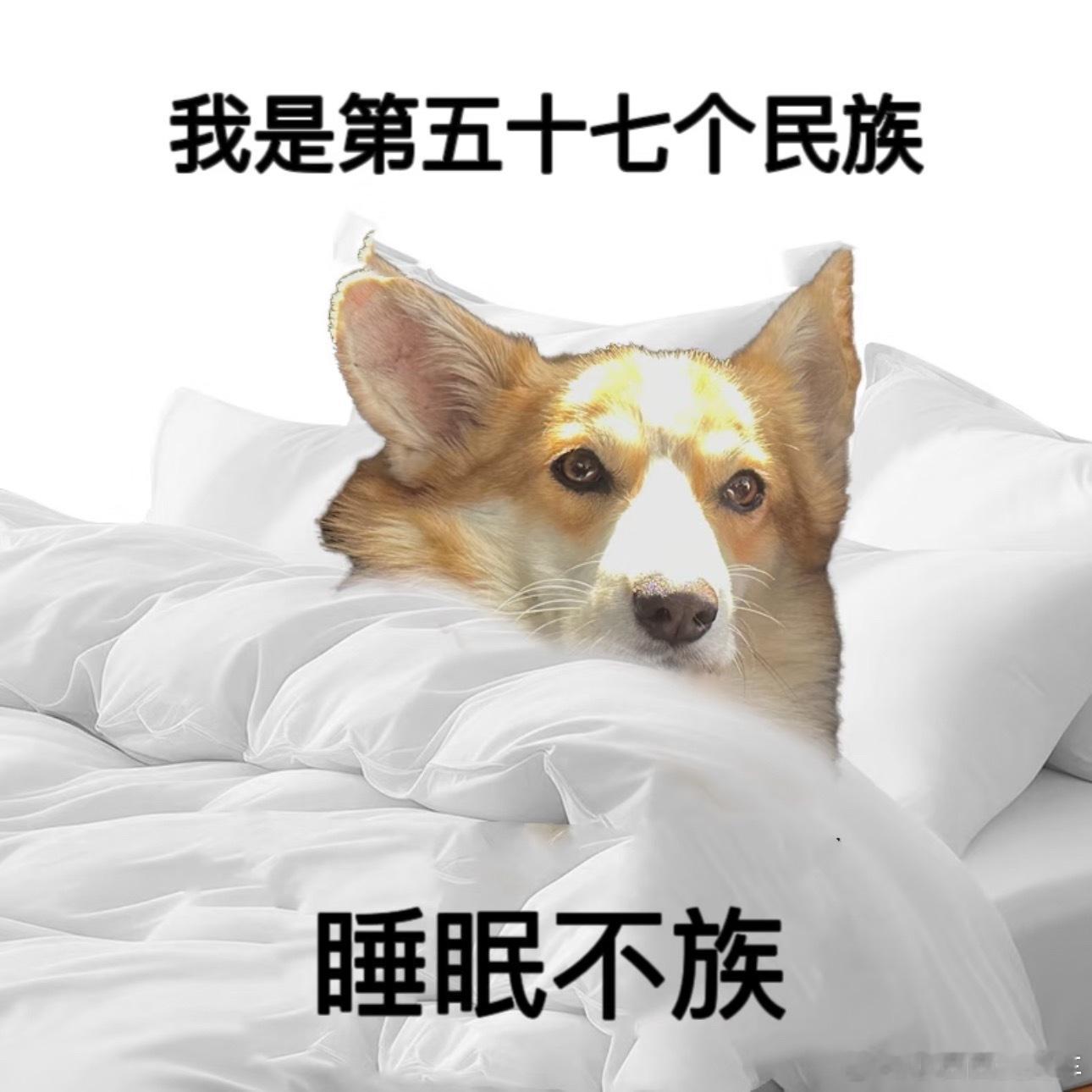 长期睡眠不足的人有7个表现刷到这条的你火速去睡觉！