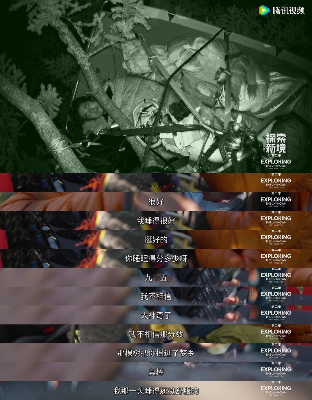 王一博在树上睡眠质量95探索新境谁不想要95分的睡眠！王一博北美攀树吊帐过夜，