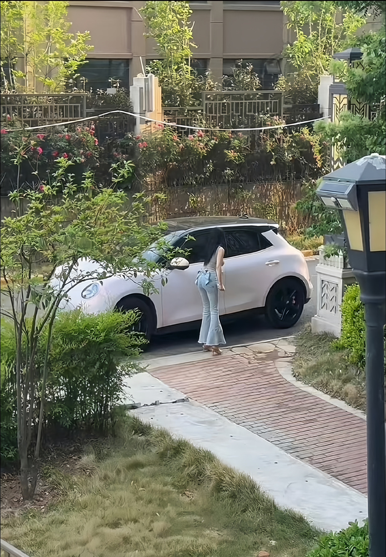 小区的绿化做的怎么样
